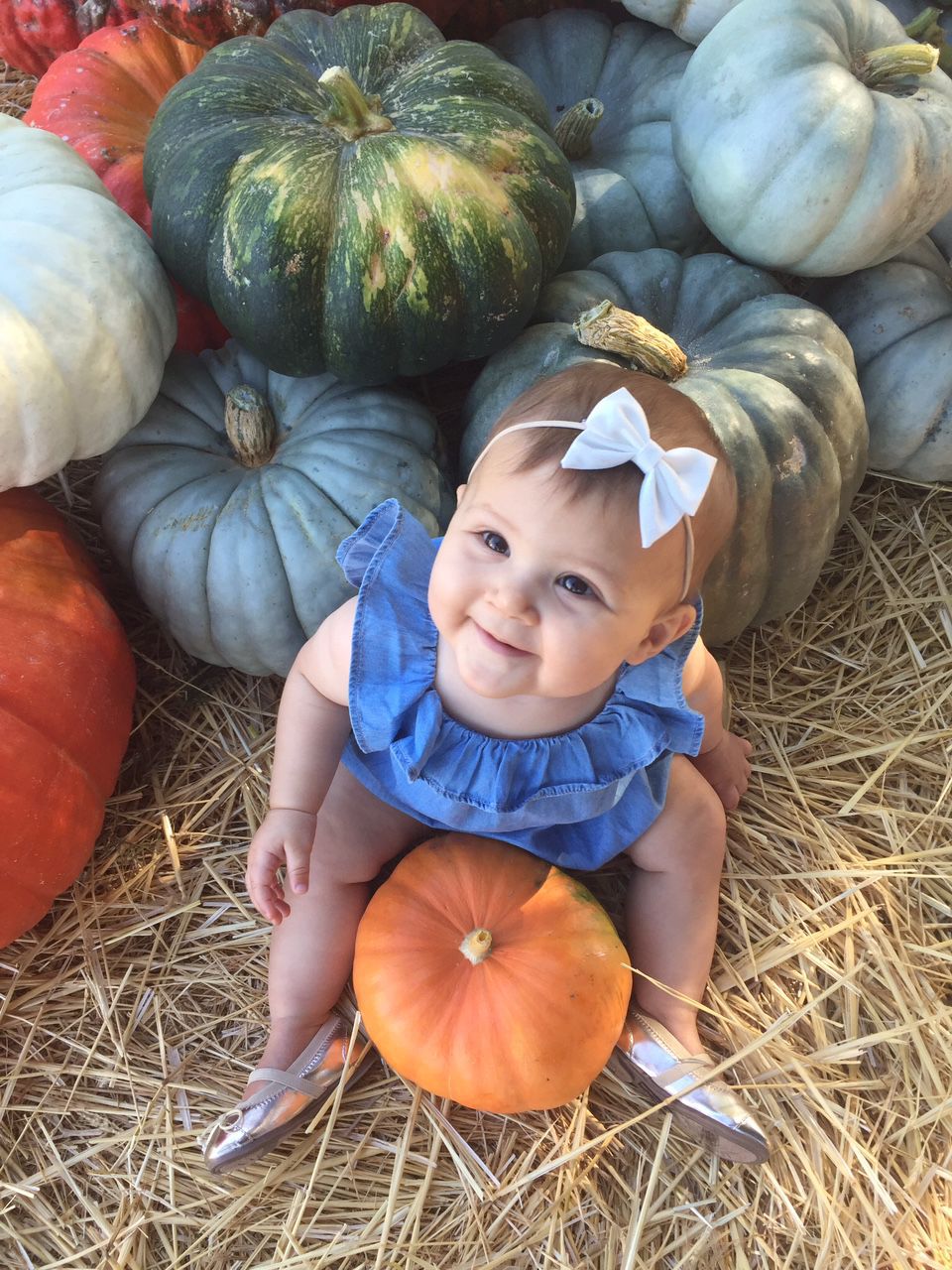 From Our Readers: Picking Pumpkins